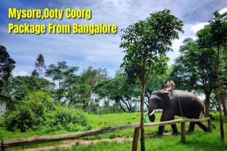 Mysore,Ooty & Coorg Package From Bangalore