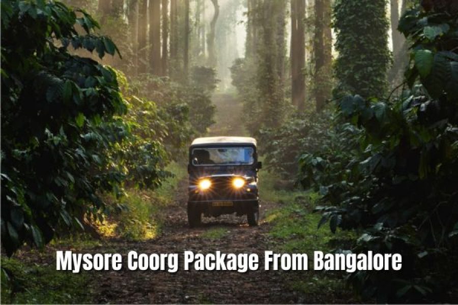 Mysore & Coorg Package From Bangalore