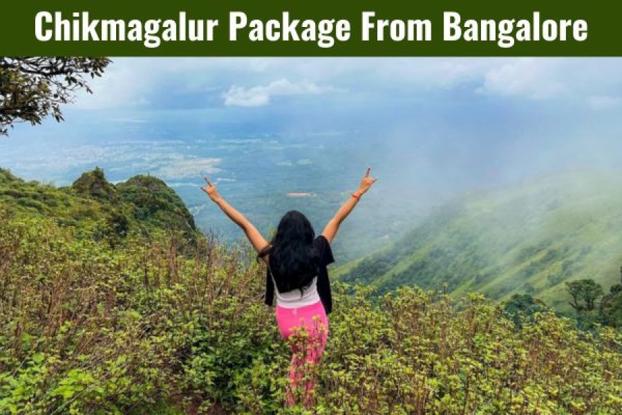 Chikmagalur Package From Bangalore