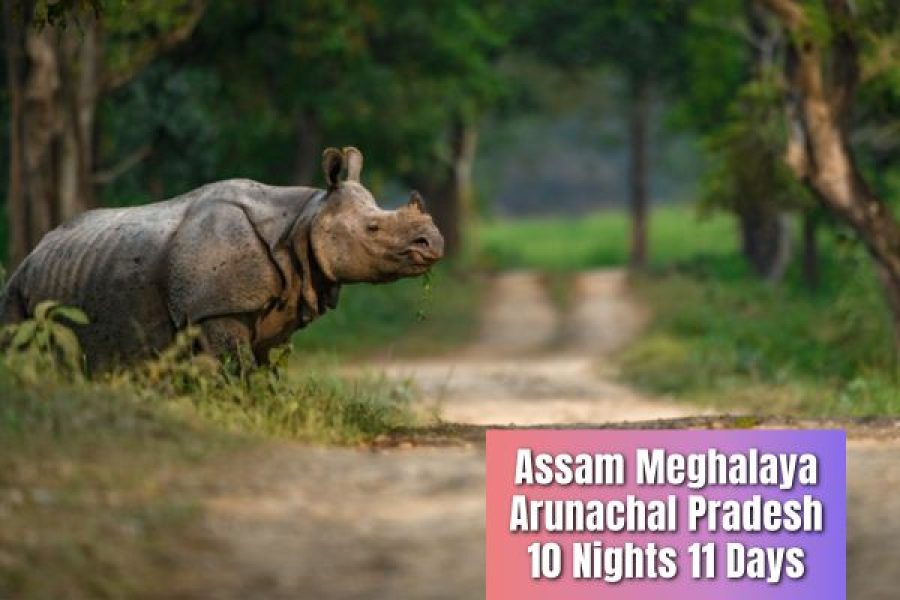 Assam Meghalaya Arunachal Pradesh 10 Nights 11 Days