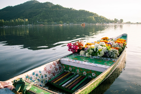 Jammu and Kashmir