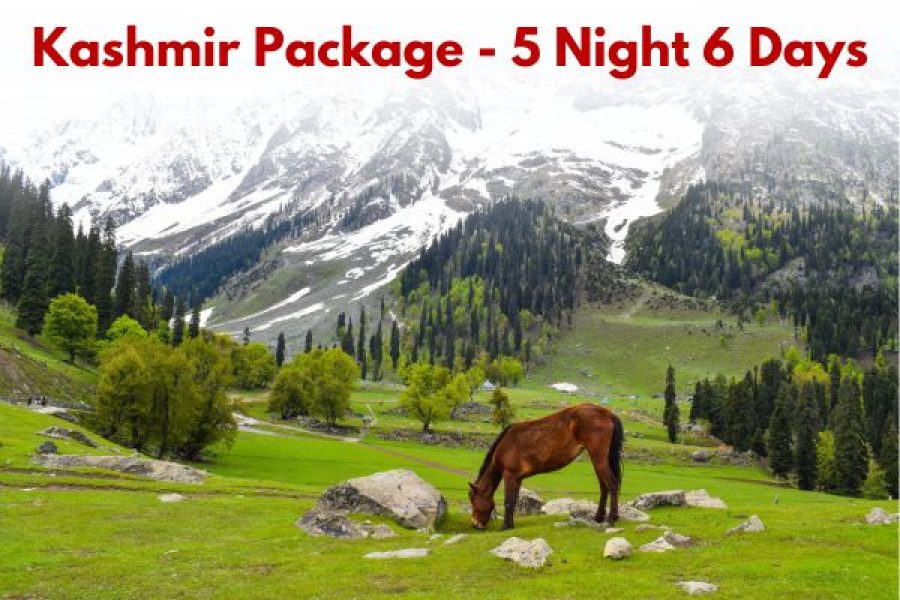 Kashmir Package – 5 Night 6 Days